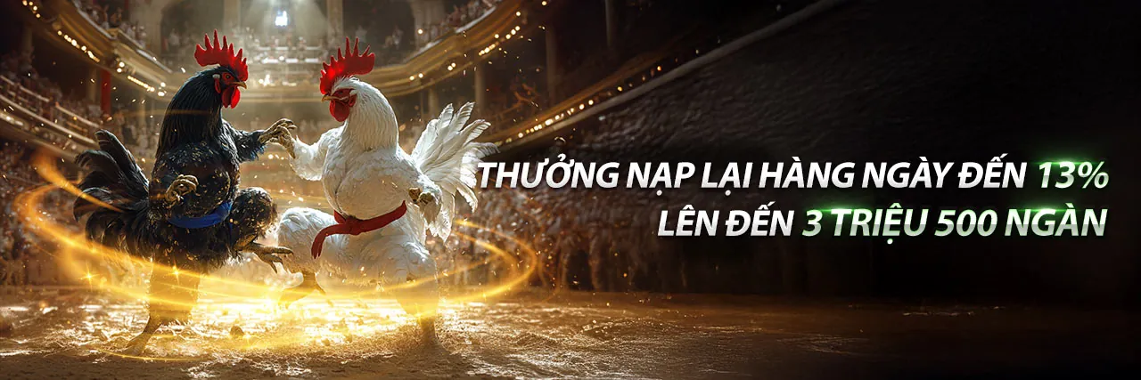 Trải nghiệm đá gà trực tuyến trên abc8 app iOS